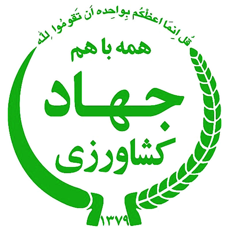 شرکت شماره یک